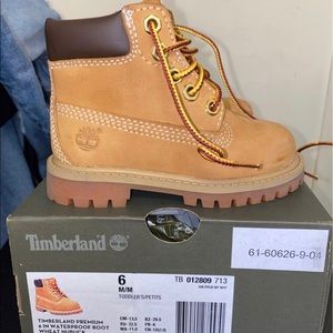 Toddler timberland premium 6in waterproof Boot